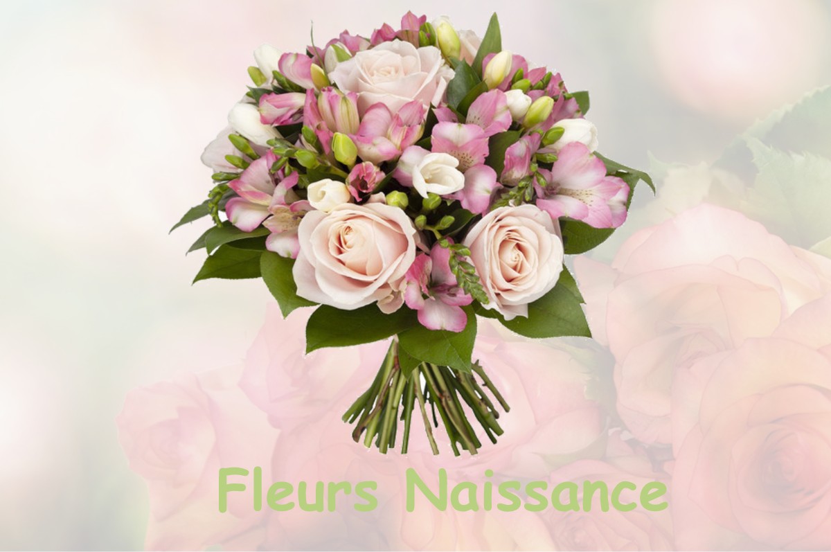 fleurs naissance GRANDFONTAINE-SUR-CREUSE